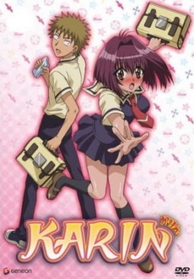 Karin poster