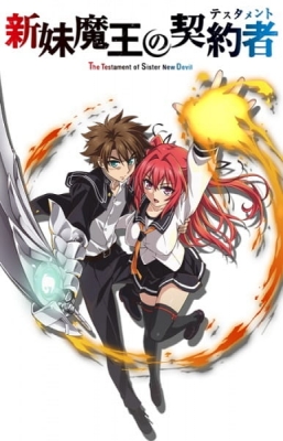 The Testament of Sister New Devil OVA poster